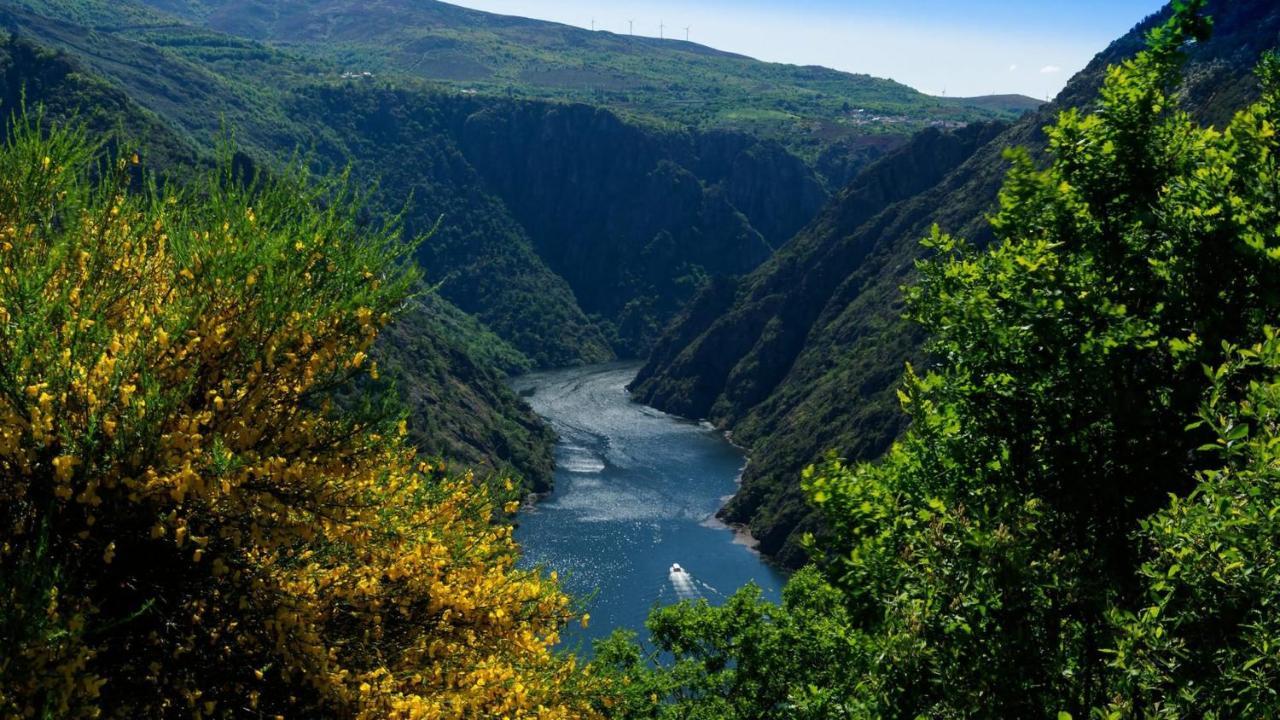 Morin Grey Casa En El Corazon De La Ribeira Sacra Villa Monforte De Lemos Luaran gambar
