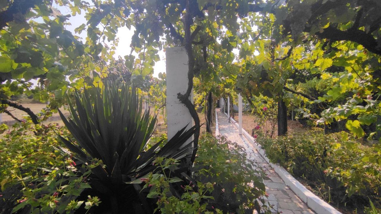 Morin Grey Casa En El Corazon De La Ribeira Sacra Villa Monforte De Lemos Luaran gambar